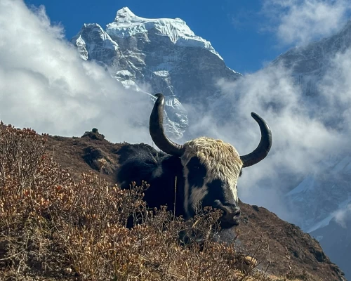 Classic Everest Base Camp Trek & Kala Patthar 