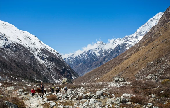 Langtang Valley Trek